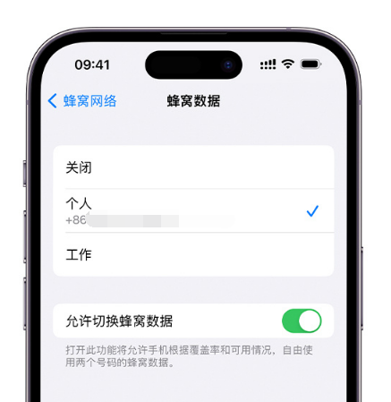 靖安苹果维修服务分享如何在iPhone上使用双卡 